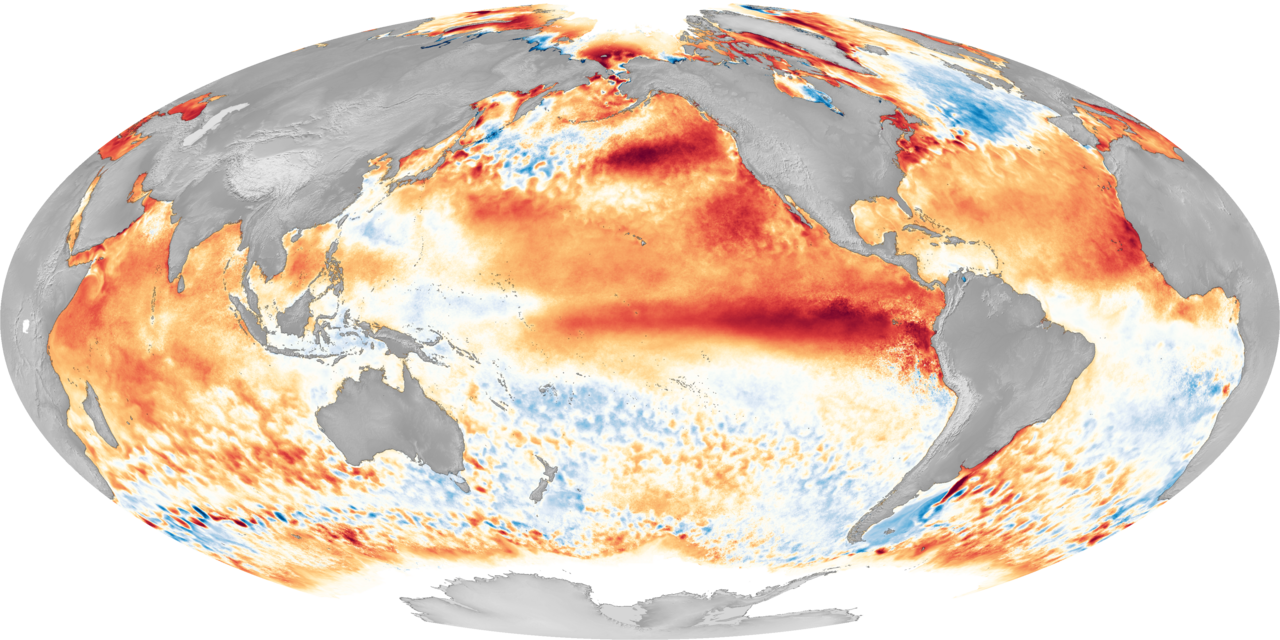 エルニーニョ時の太平洋の海面水温異常を示すNOAAのマップ、南米沖の海水温上昇を説明する画像