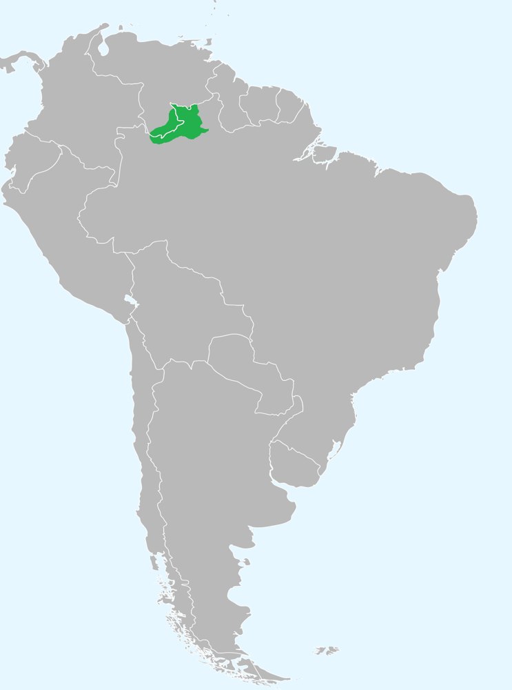 ブラジルとベネズエラにまたがるヤノマミの分布地域を示す地図。