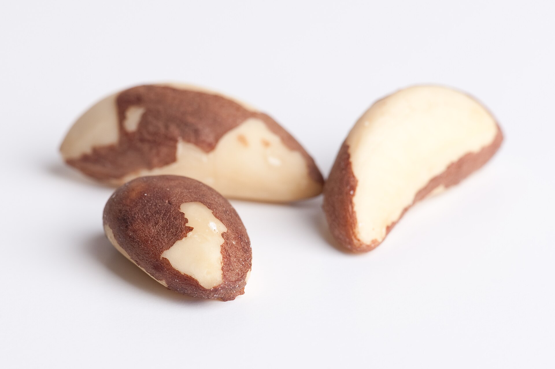 薄皮つきのブラジルナッツの種子